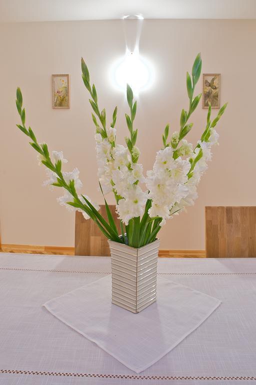 Hotel Viesu Maja Janis Madona Zewnętrze zdjęcie